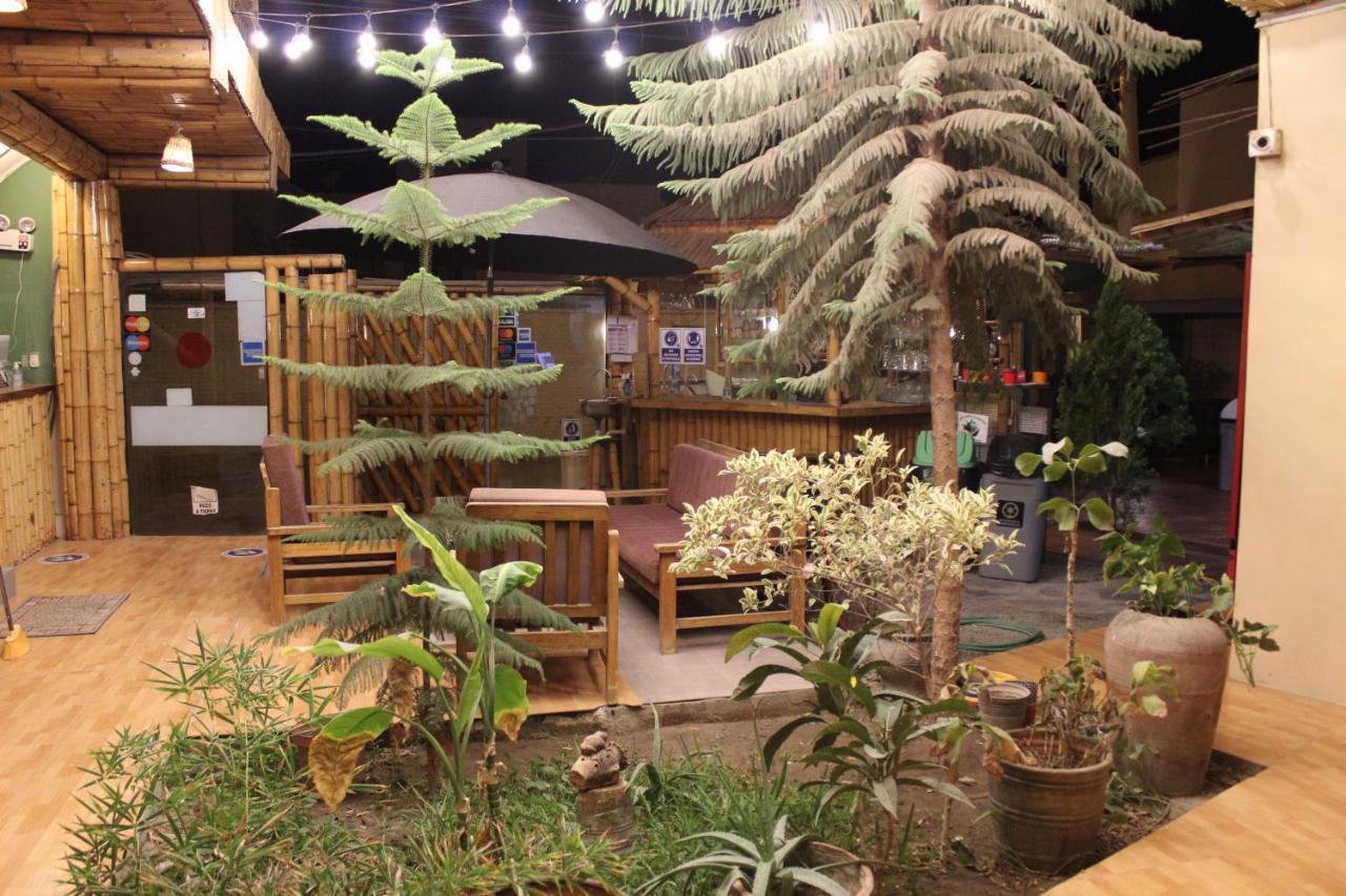 La Casa De Bamboo Pansiyon Ica Dış mekan fotoğraf