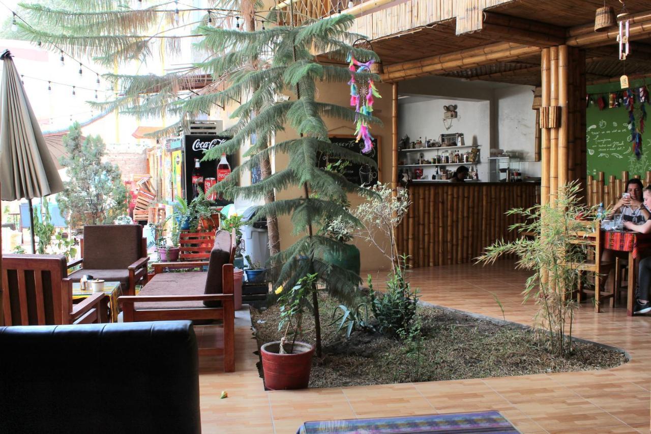 La Casa De Bamboo Pansiyon Ica Dış mekan fotoğraf