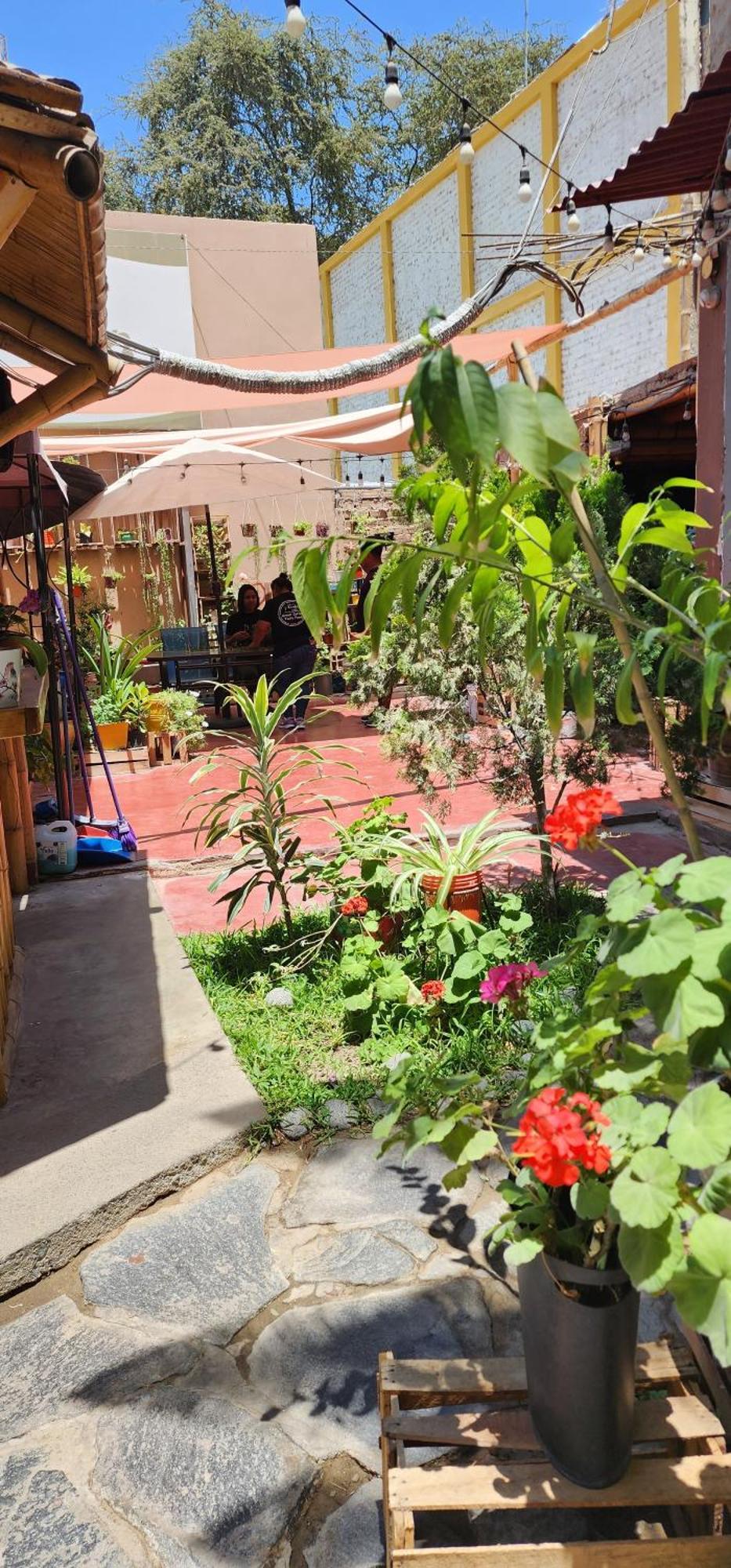 La Casa De Bamboo Pansiyon Ica Dış mekan fotoğraf