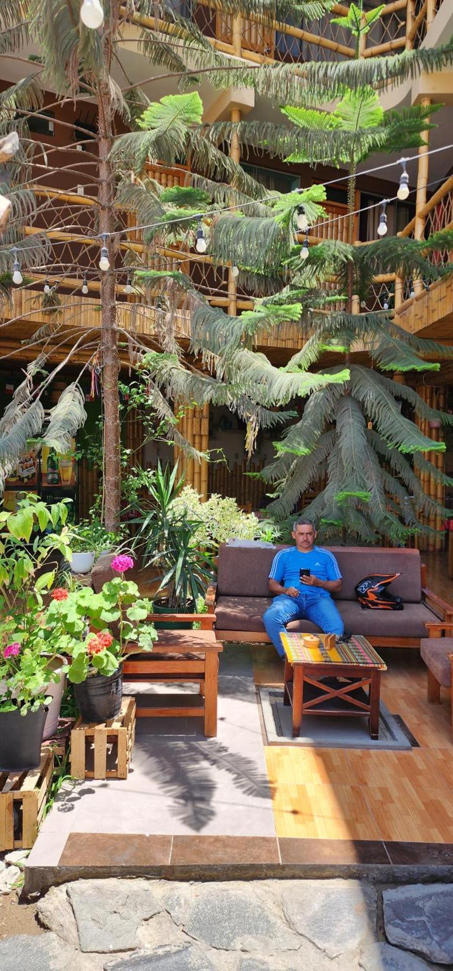 La Casa De Bamboo Pansiyon Ica Dış mekan fotoğraf
